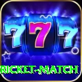 to day cricket match Pro1 v5.2.9