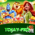 tojay VIP Pro v1.9.8