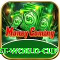 under 19 cricket world cup Ultimate v4.8.8