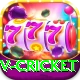 v cricket Games (Casino & Earning) Pro v4.0.9