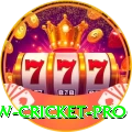 willow cricket Gaming Ultimate v1.4.1