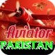 win money online pakistan Pro Max v2.6.8